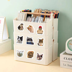 100-500pcs Cartoon Meme Cat Stickers For School Reward Stickers Classroom Decoration Encouragement Sticker For Student Teacher (ONLINE ORDER ONLY)