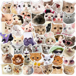 10/30/50PCS Kawaii Cat Mood PVC Graffiti Sticker Sticky Aesthetic Decorative Scrapbook DIY Child Phone Stationery Supply for Kid (Online Order Only)