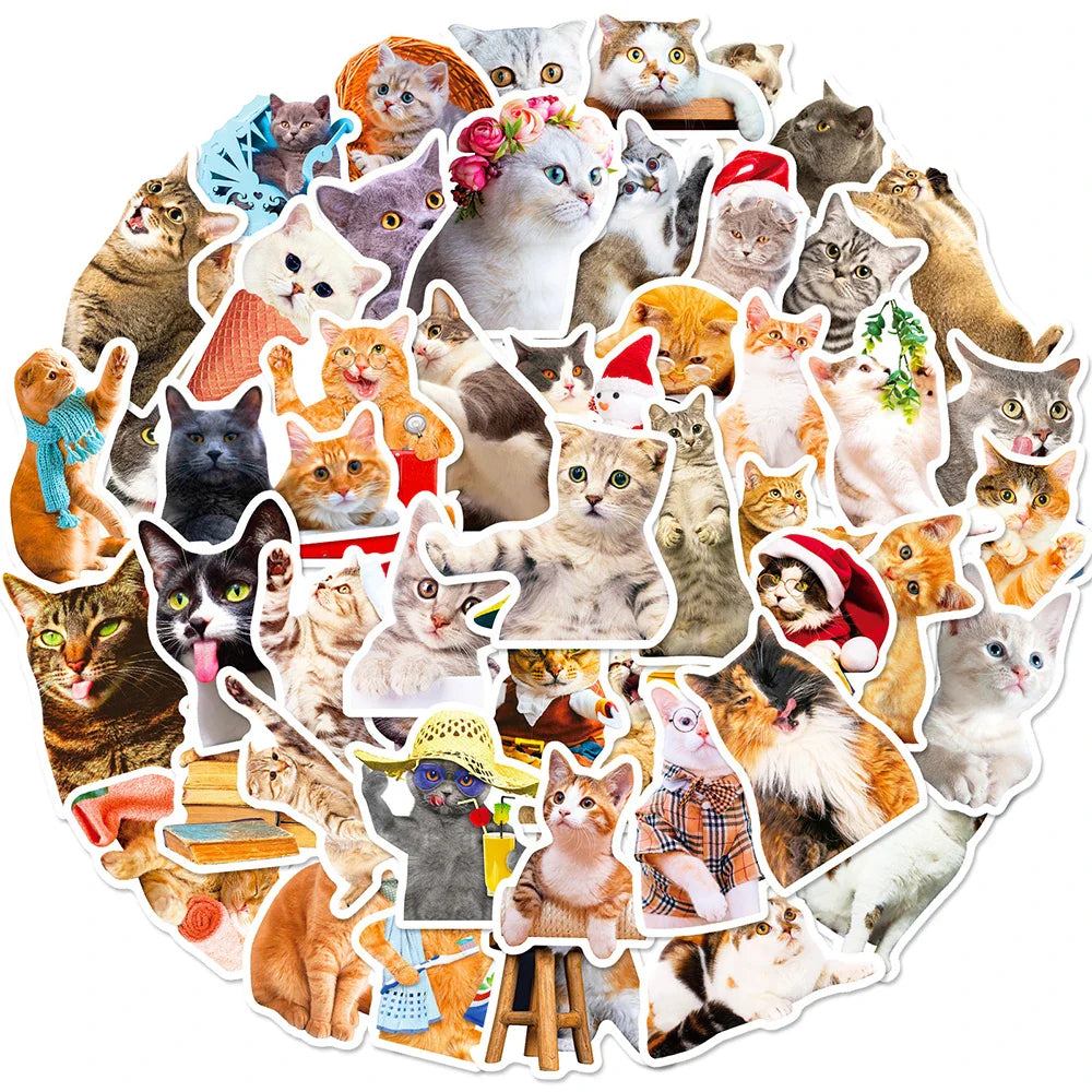 Kawaii Cat Meme Stickers 10/30/50pcs Aesthetic Decals for Laptop, Phone, Guitar, Fridge, Suitcase (ONLINE ORDER ONLY)