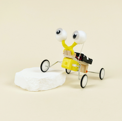 Bug Robot DIY Kit, Educational STEM Toy (ONLINE ORDER ONLY)