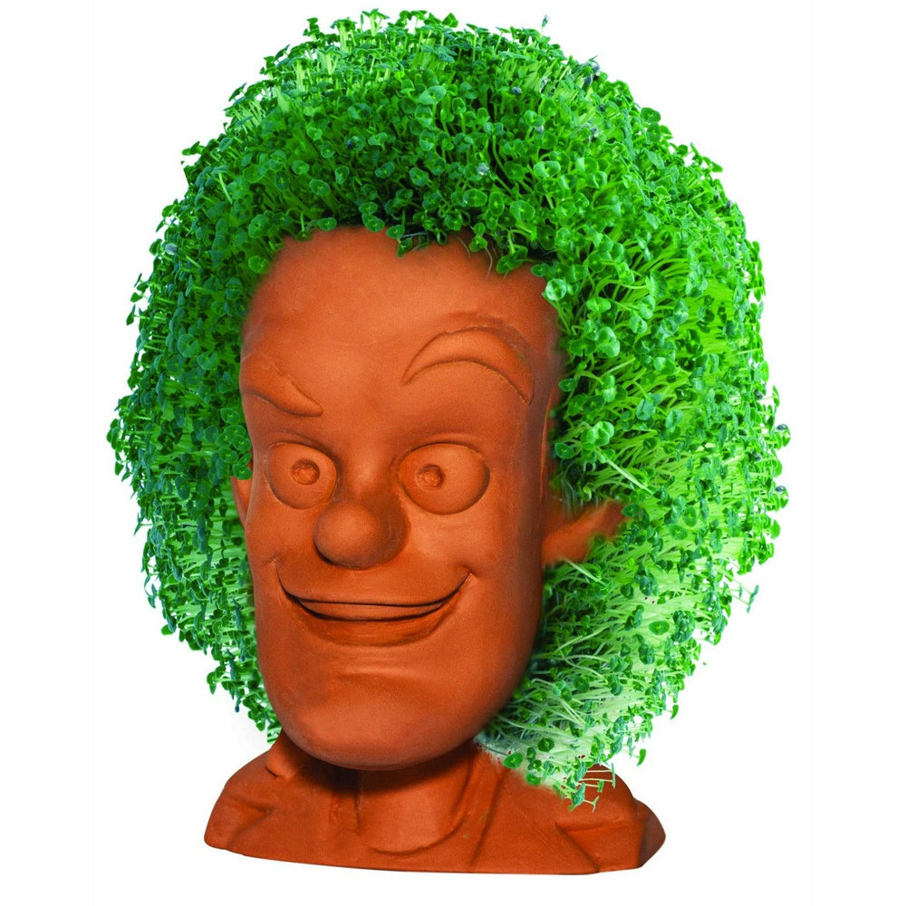 Back to the Future - The Animated Series: Doc Brown Chia Pet (ONLINE ORDER ONLY)