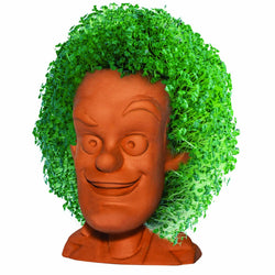 Back to the Future - The Animated Series: Doc Brown Chia Pet (ONLINE ORDER ONLY)