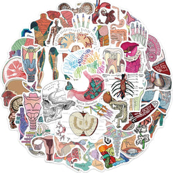 10/30/50PCS Funny Human Organ Medical Anatomy Stickers Cartoon Decals DIY Notebook Laptop Suitcase Stationery Waterproof Toys (ONLINE ORDER ONLY)