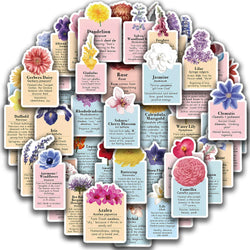 50pcs Ins Style Flower Language Stickers For Skateboard Notebook Laptop Phone Bike Wall Sticker Toys Aesthetic DIY Decoration (ONLINE ORDER ONLY)