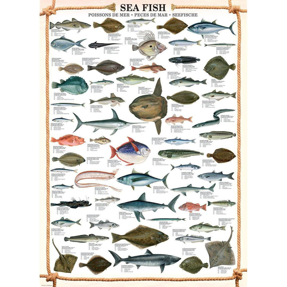 Sea Fish 1000 Piece Jigsaw Puzzle Eurographics (ONLINE ORDER ONLY)