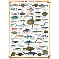 Sea Fish 1000 Piece Jigsaw Puzzle Eurographics (ONLINE ORDER ONLY)