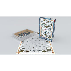 Sea Fish 1000 Piece Jigsaw Puzzle Eurographics (ONLINE ORDER ONLY)
