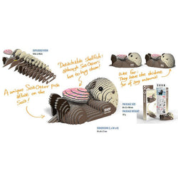 Sea Otter 3D Cardboard Model Kit Eugy (ONLINE ORDER ONLY)