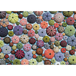 Sea Urchins 1000 Piece Jigsaw Puzzle Piatnik (ONLINE ORDER ONLY)