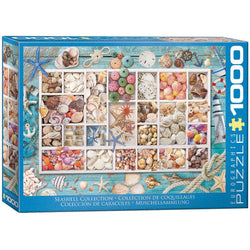 Seashell Collection 1000 Piece Jigsaw Puzzle Eurographics