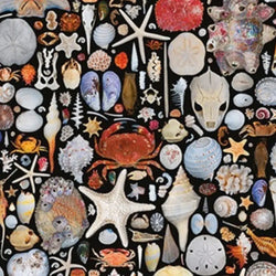 Seaside Goods 1000 Piece Jigsaw Puzzle Piatnik (ONLINE ORDER ONLY)