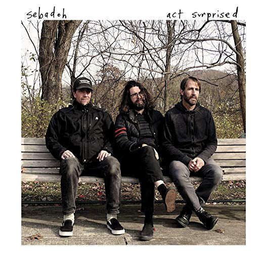 Act Surprised [Vinyl] (ONLINE ORDER ONLY)