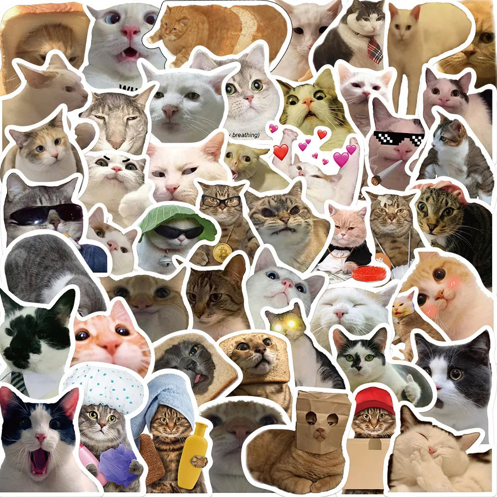 Funny Cat Meme Stickers 10/25/50pcs for Luggage, Water Bottle, Laptop, Phone (Online Order Only)