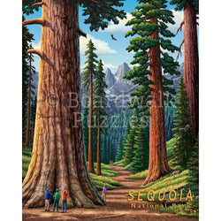 Sequoia National Park 500 Piece Jigsaw Puzzle Boardwalk (ONLINE ORDER ONLY)