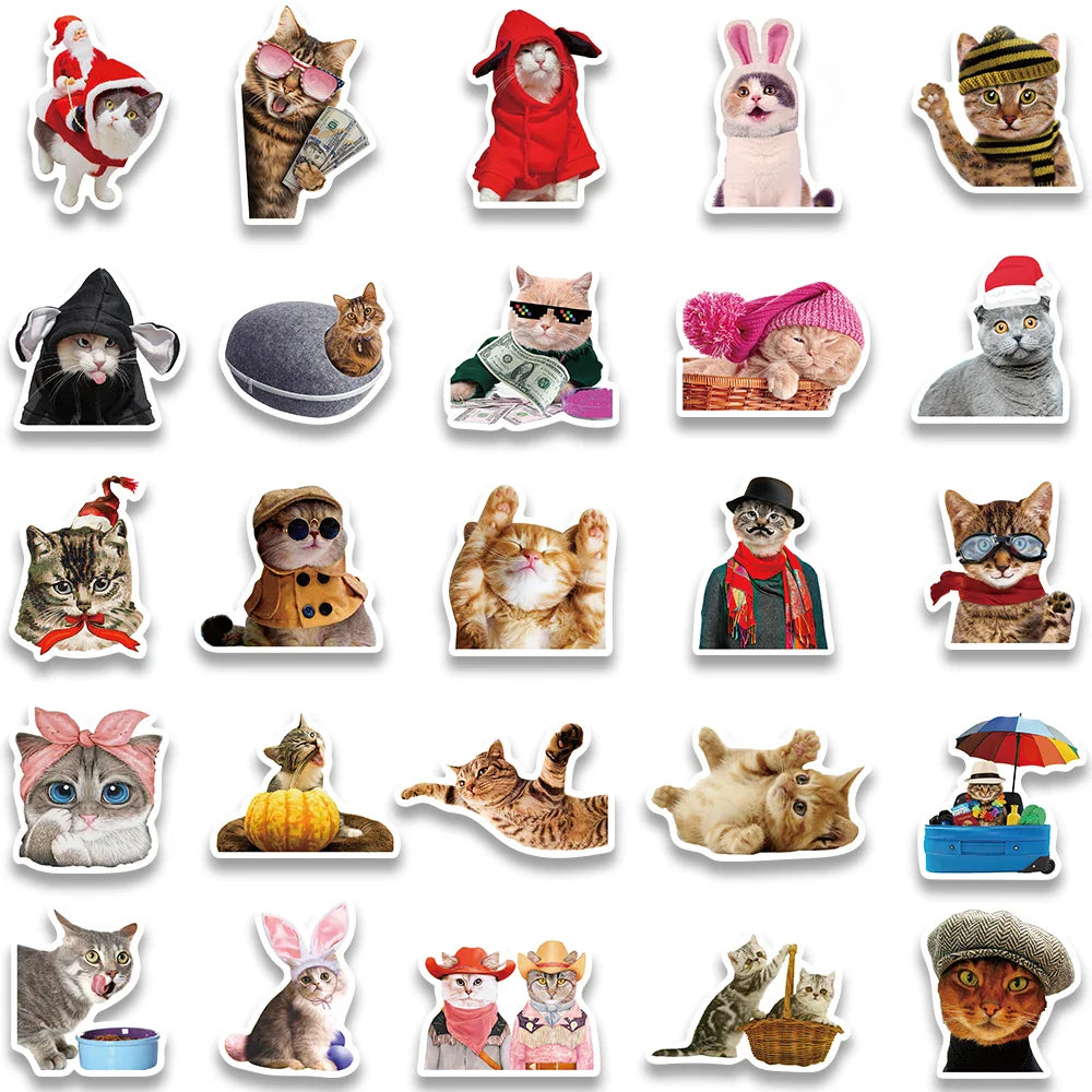 50pcs Funny Cats Meme Stickers For Luggage Guitar Laptop Phone Vinyl Waterproof Graffiti Bicycle Car Decals Kids Toy (ONLINE ORDER ONLY)