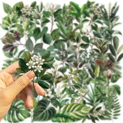 50PCS Kawaii Green Leaves PET Sticker Aesthetic Decoration Scrapbooking Stationery DIY Hand Accounting Supplies for Kids (ONLINE ORDER ONLY)