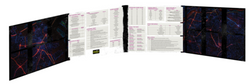 Shadowrun: Sixth World Gamemaster's Screen (ONLINE ORDER ONLY)