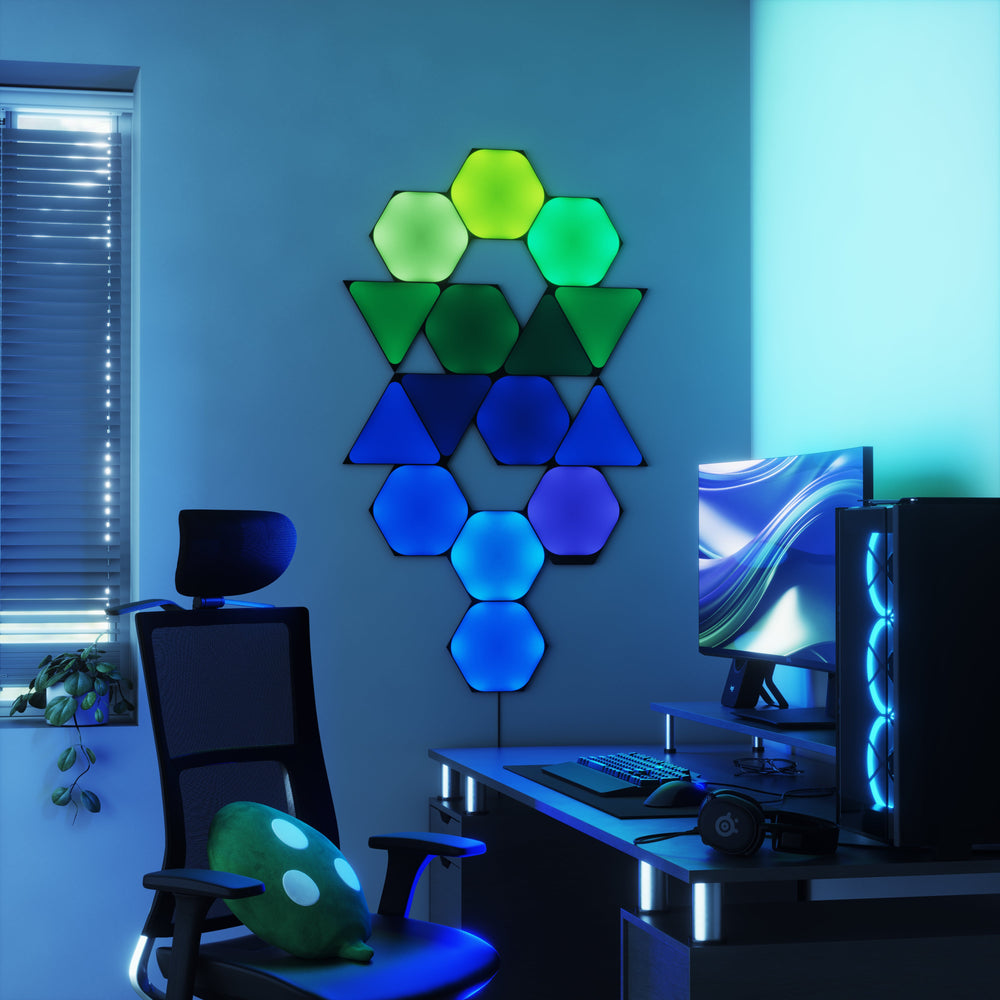 Enigma Bundle (Online Order Only)