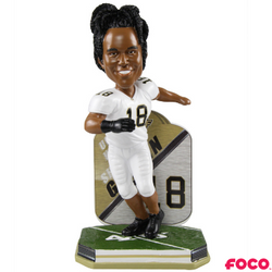 NCAA College Football Super Star Bobbleheads (ONLINE ORDER ONLY)