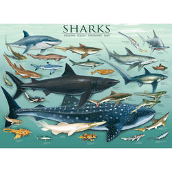 Sharks 1000 Piece Jigsaw Puzzle Eurographics (ONLINE ORDER ONLY)