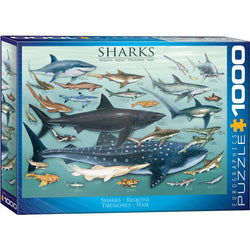 Sharks 1000 Piece Jigsaw Puzzle Eurographics (ONLINE ORDER ONLY)