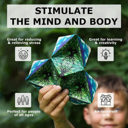 Shashibo Brain Teaser Puzzle Box Fidget Toy (ONLINE ORDER ONLY)