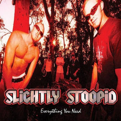 Everything You Need (Red & Black Splatter Vinyl) [Vinyl]