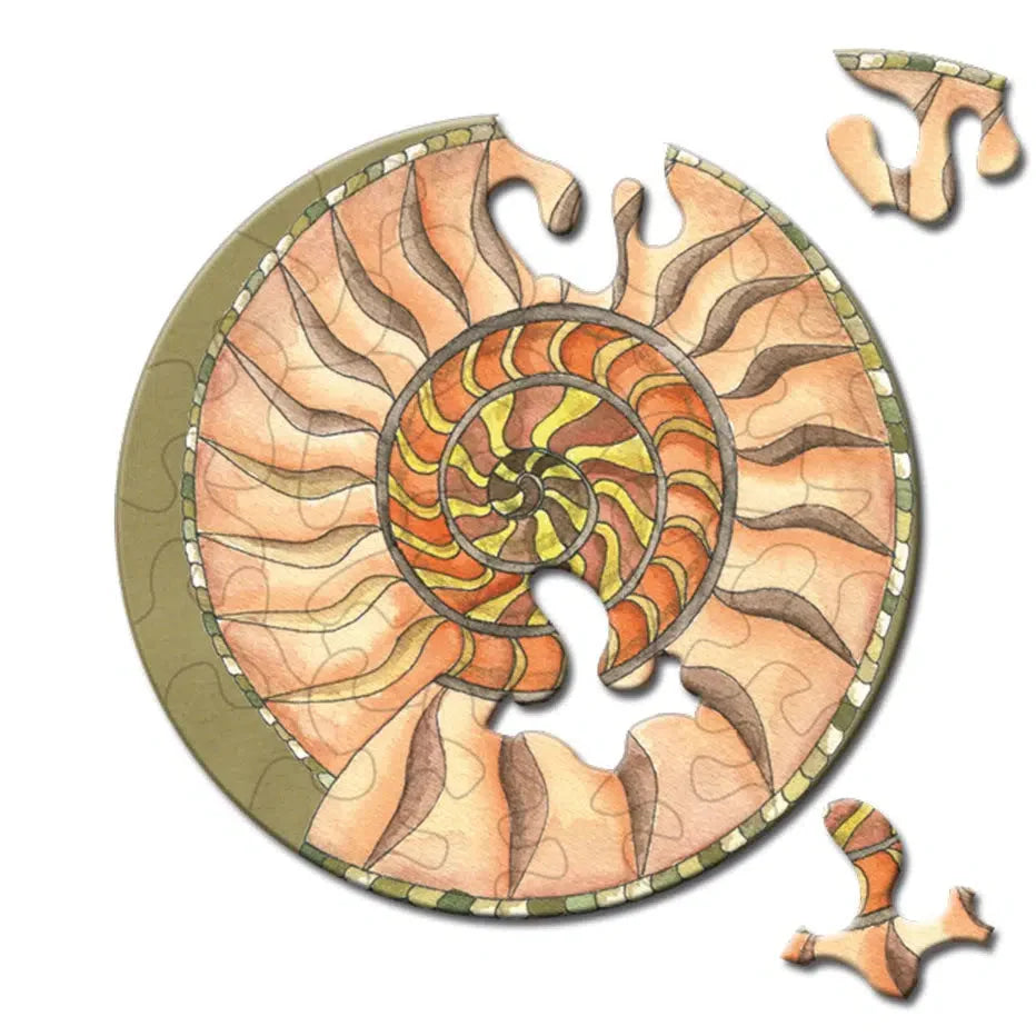 Snail 33 Piece Mini Matchbox Jigsaw Puzzle Curiosi (ONLINE ORDER ONLY)