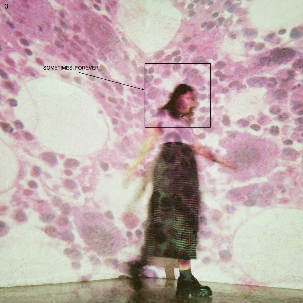 Sometimes, Forever [LP] [Vinyl] (ONLINE ORDER ONLY)