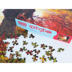 Stone Path 1000 Piece Jigsaw Puzzle Springbok (ONLINE ORDER ONLY)