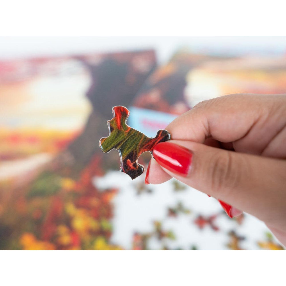 Stone Path 1000 Piece Jigsaw Puzzle Springbok (ONLINE ORDER ONLY)