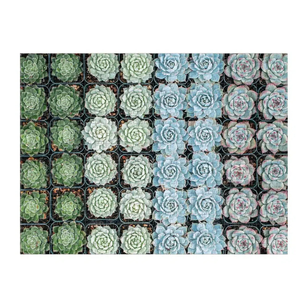 Succulent Garden Double-Sided 500 Piece Jigsaw Puzzle Galison (ONLINE ORDER ONLY)