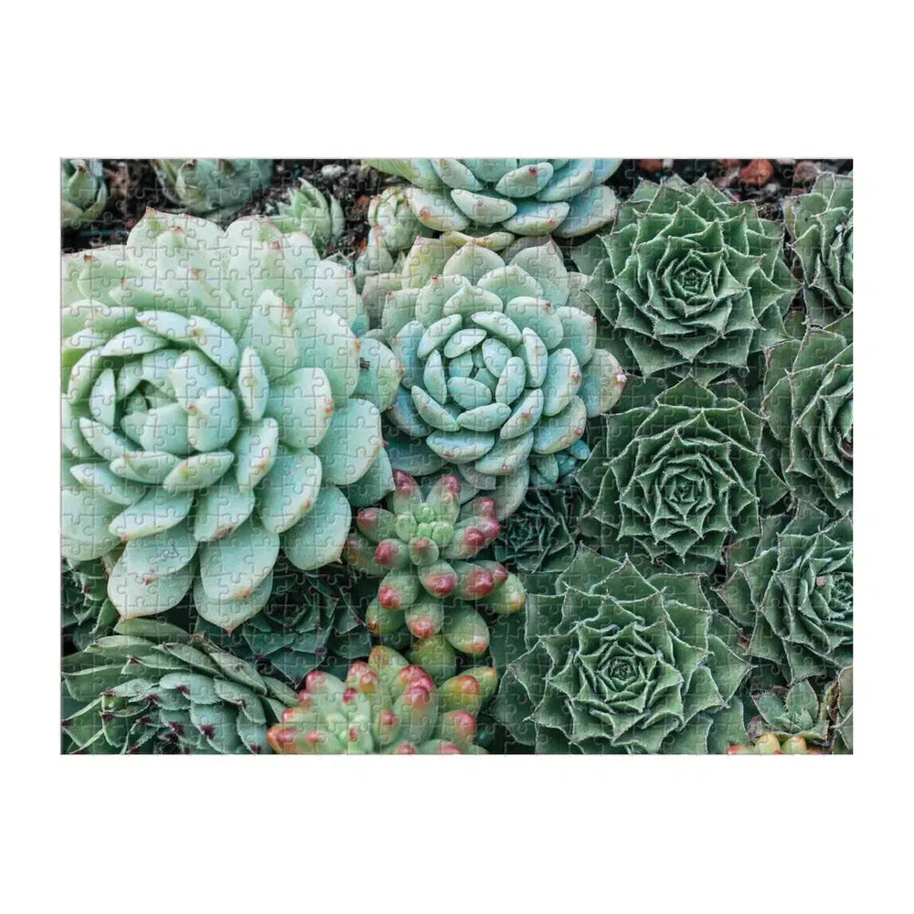 Succulent Garden Double-Sided 500 Piece Jigsaw Puzzle Galison (ONLINE ORDER ONLY)