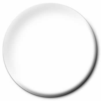TES2146PT Decal Setting Solution Model Master Enamel Paint .5oz (ONLINE ORDER ONLY)