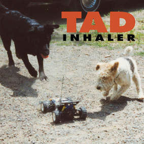 Inhaler [Vinyl] (ONLINE ORDER ONLY)