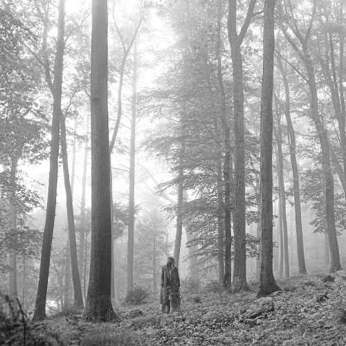 Taylor Swift - folklore ("in the trees" edition) [Vinyl] (ONLINE ORDER ONLY)