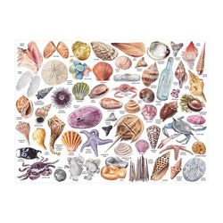 The Beachcomber's Companion 1000 Piece Jigsaw Puzzle Galison (ONLINE ORDER ONLY)