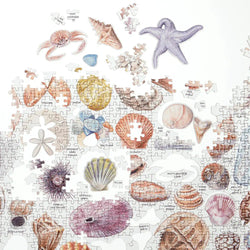 The Beachcomber's Companion 1000 Piece Jigsaw Puzzle Galison (ONLINE ORDER ONLY)