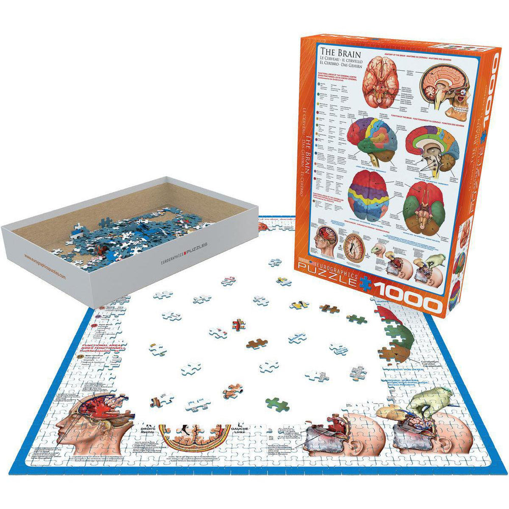 The Brain 1000 Piece Jigsaw Puzzle Eurographics (ONLINE ORDER ONLY)