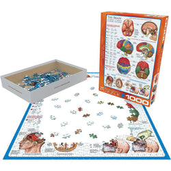 The Brain 1000 Piece Jigsaw Puzzle Eurographics (ONLINE ORDER ONLY)
