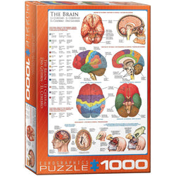The Brain 1000 Piece Jigsaw Puzzle Eurographics (ONLINE ORDER ONLY)