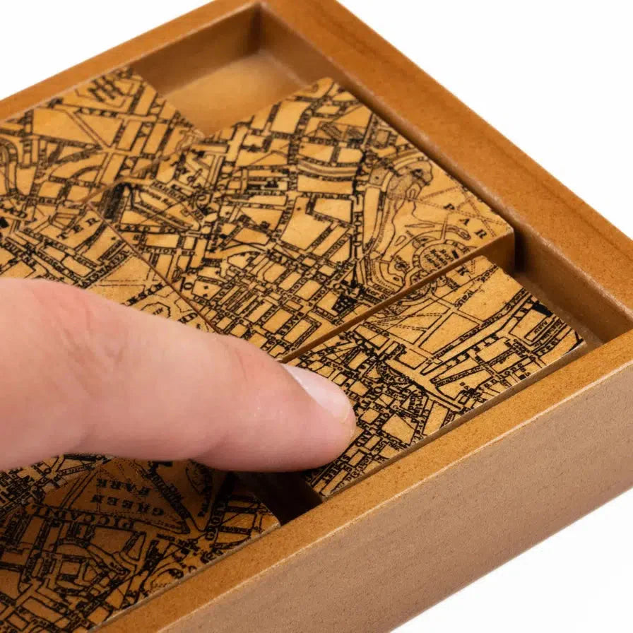 The Case of the Secret Society Brain Teaser Puzzle Professor Puzzle (ONLINE ORDER ONLY)