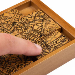 The Case of the Secret Society Brain Teaser Puzzle Professor Puzzle (ONLINE ORDER ONLY)