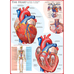 The Heart 1000 Piece Jigsaw Puzzle Eurographics (ONLINE ORDER ONLY)
