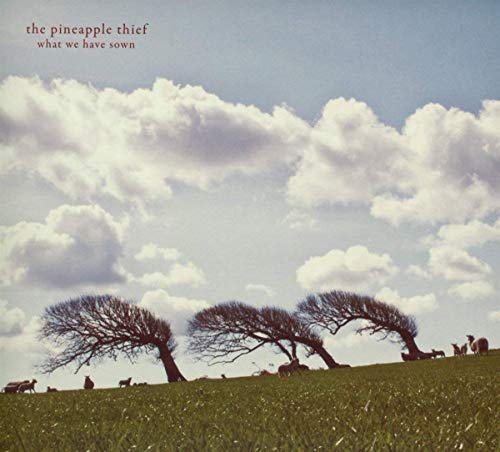 What We Have Sown [Vinyl] (ONLINE ORDER ONLY)