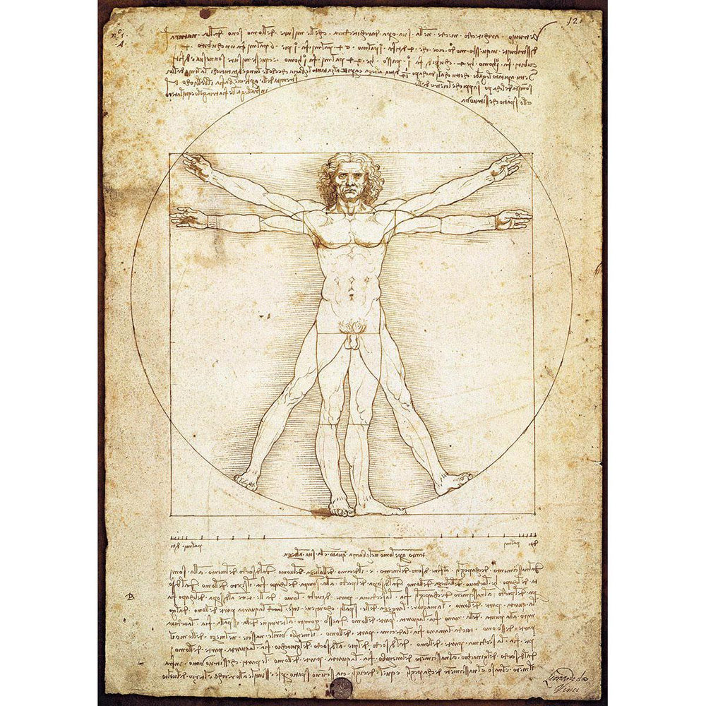 The Vitruvian Man 1000 Piece Jigsaw Puzzle Eurographics (ONLINE ORDER ONLY)