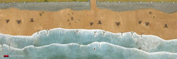 Flames of War: D-Day - Beach Landing Mat