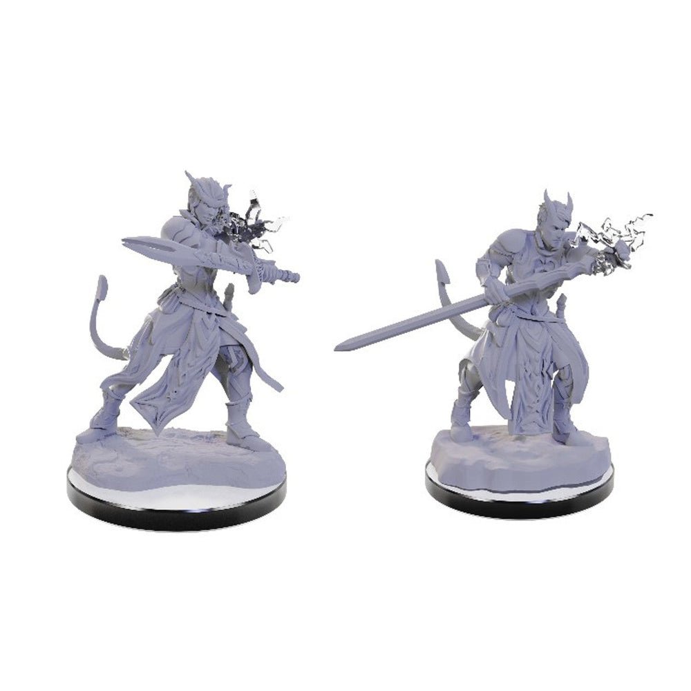 D&D Nolzur's Marvelous Minis: Wave 22- Tiefling Warlocks (Online Order Only)