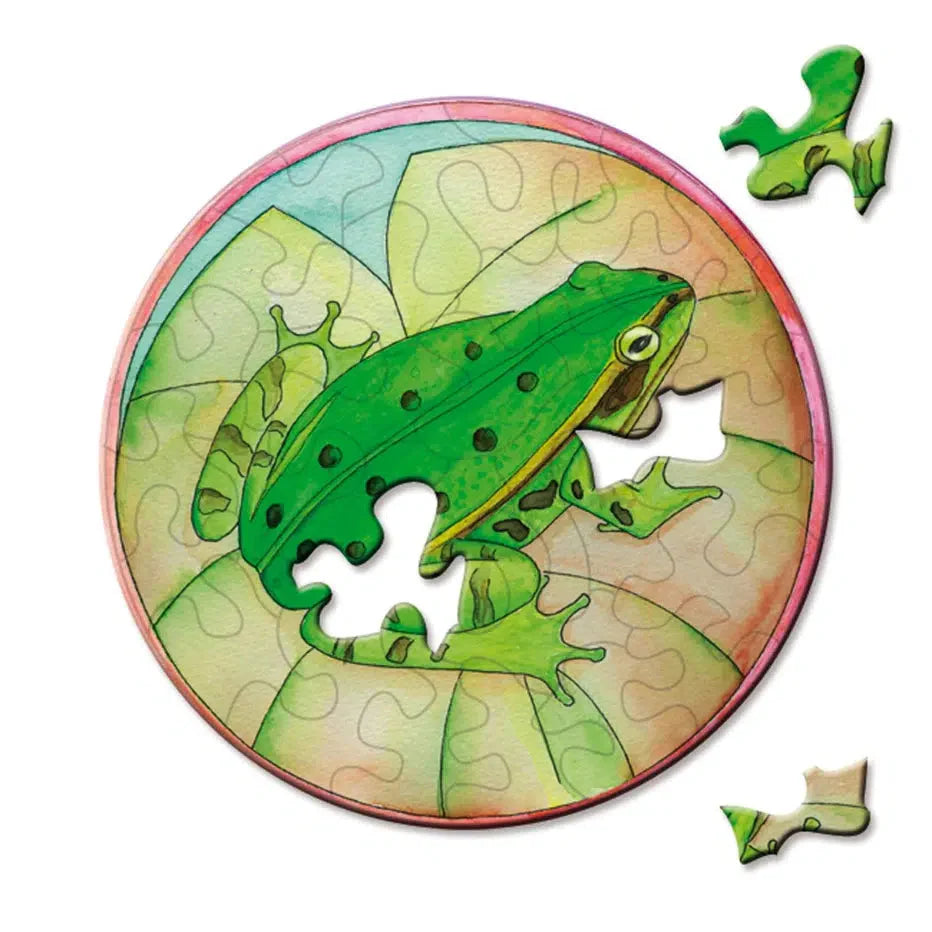 Tree Frog 33 Piece Mini Matchbox Jigsaw Puzzle Curiosi (ONLINE ORDER ONLY)