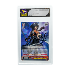 Attack on Titan Signature Series (Online Order Only)